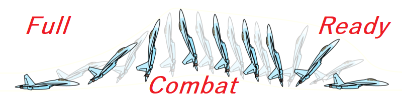 Il 36° Stormo Virtuale cala l'ASSO, Drigo è FCR!