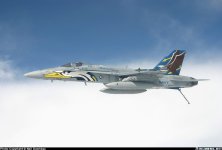 18eagleskin.jpg