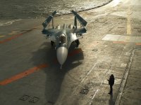Su-33wigsfolded.jpg