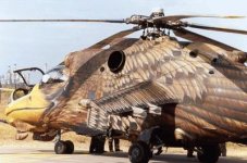 hind2.jpg