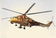 hind3.jpg