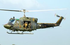 Tigre11.jpg