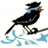 Sparrow