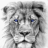 Whitelion
