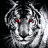 Tigerman